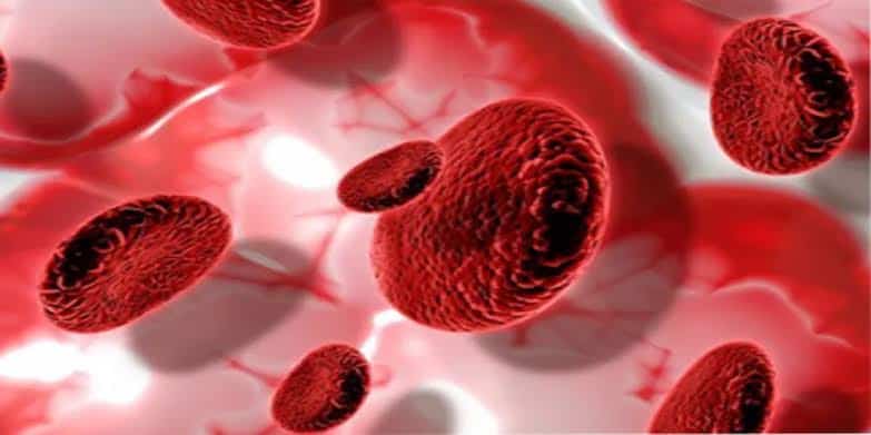 عوامل خطورة سرطان الدم.. «صحة الرياض» توضح